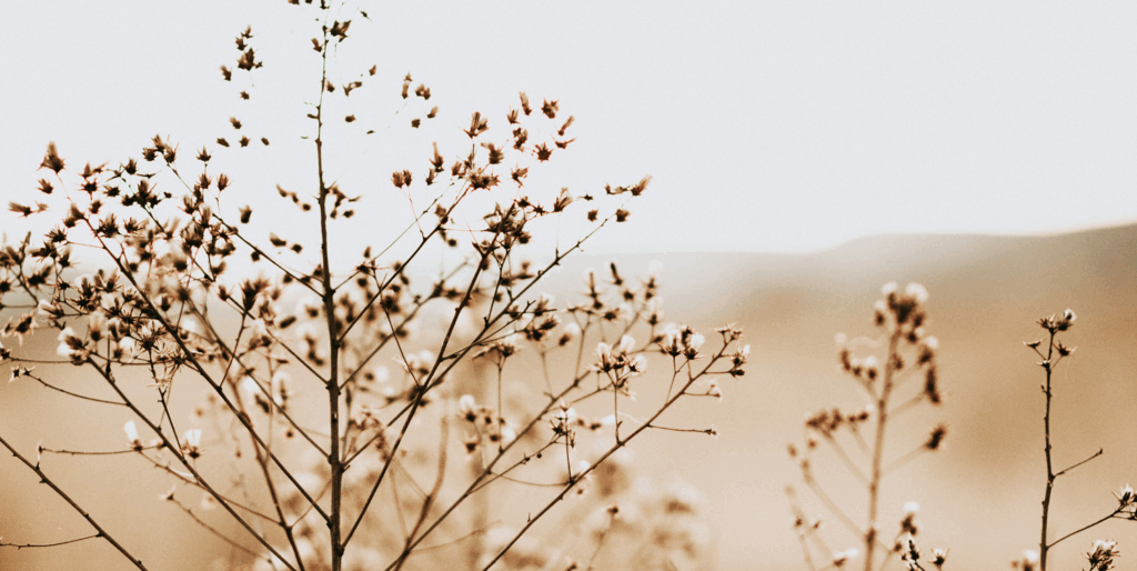 Neutral color images for inspiration for home renovation